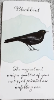 Divine Feather Messenger